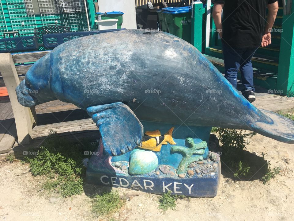Manatee statue in cedar key Florida 