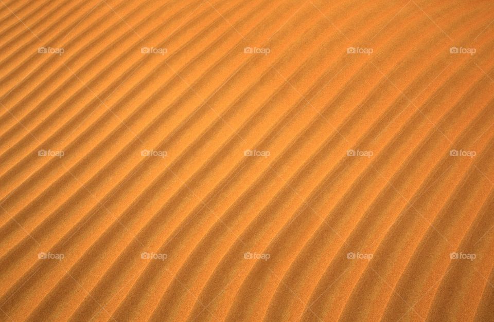 Sand waves and desert close up 