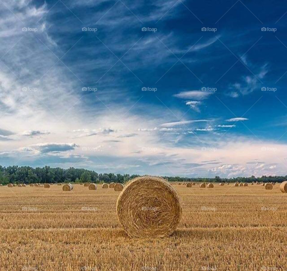 Donji Miholjac Village