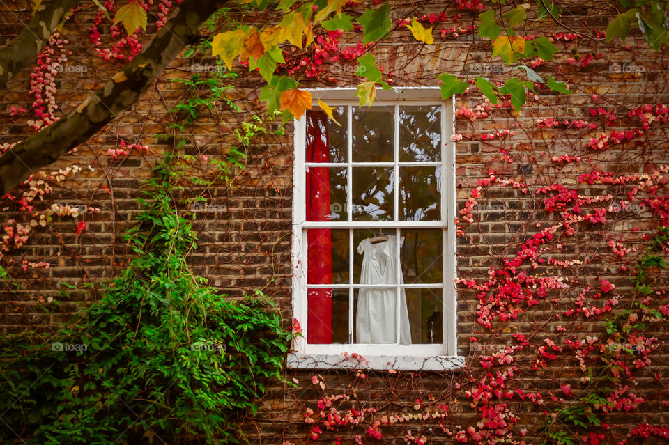 Night dress in autumn window.