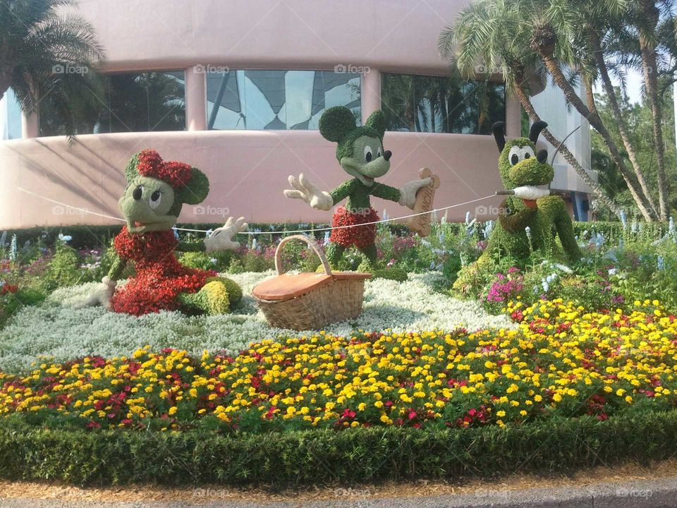 DisneyWorld , Flowers, Garden, Sculptures, Mickey mouse  Minnie mouse