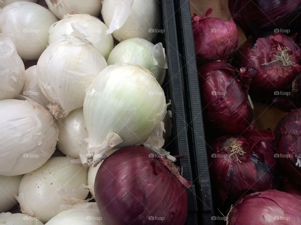 Multiple onions split by a color. White onions and red onions.