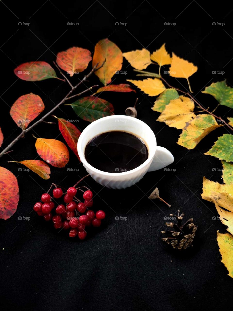 Composition. Autumn. White cup with black coffee. Next to the cup lies a branch with red leaves, a branch with yellow leaves, red rowan berries, a pine cone and an acorn. Black background