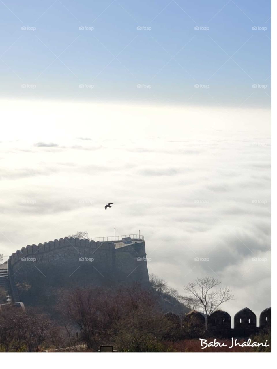 Fog cover all my city .