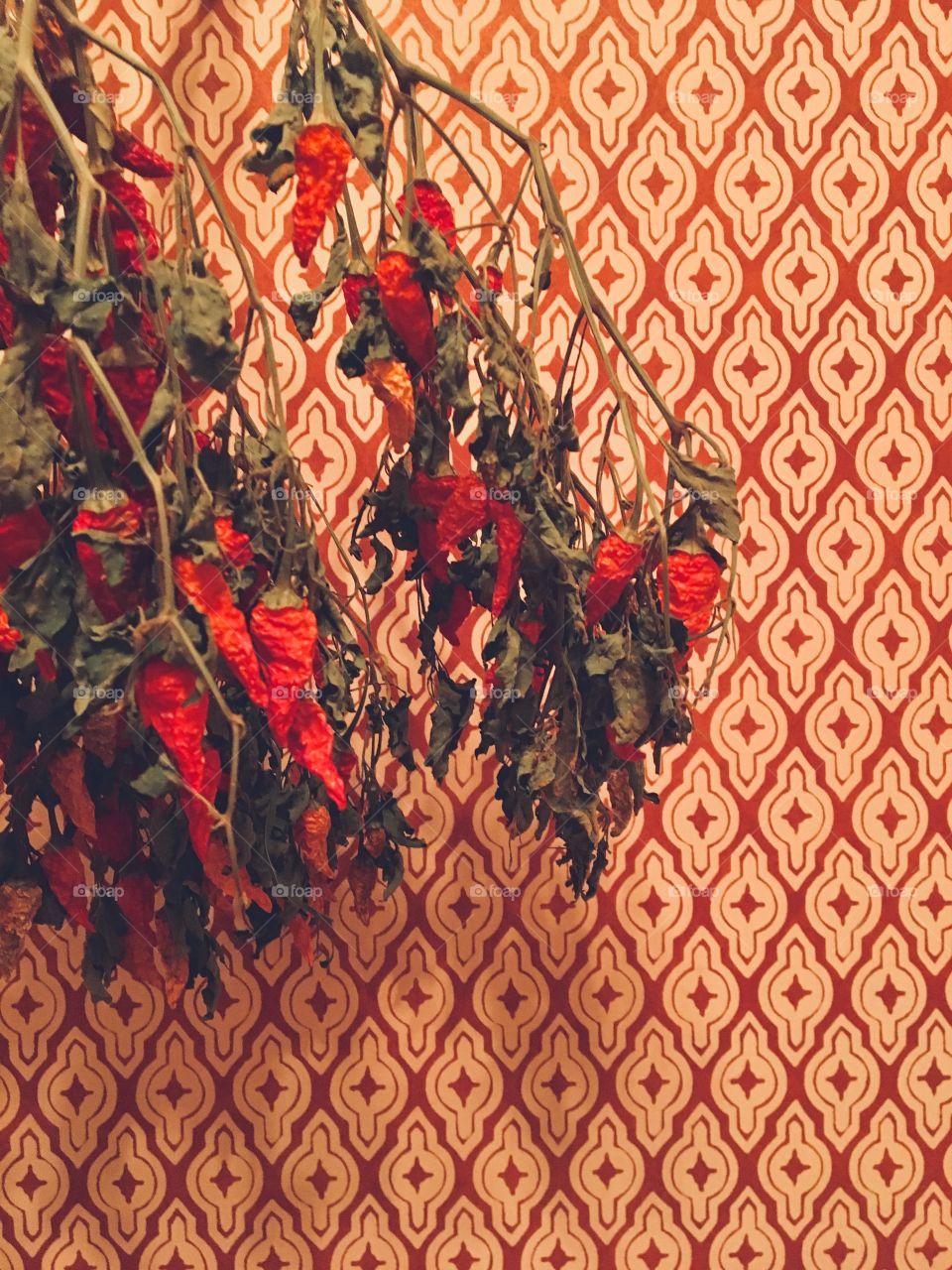 Dried chilies against the decorative wall