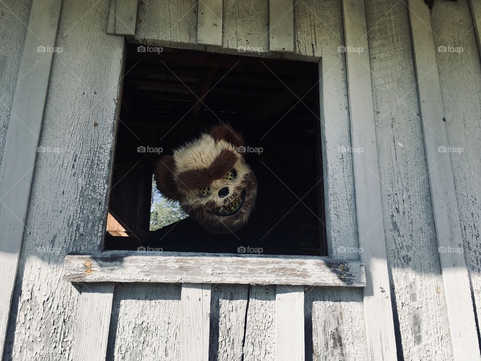 Masked man in window of abandoned house