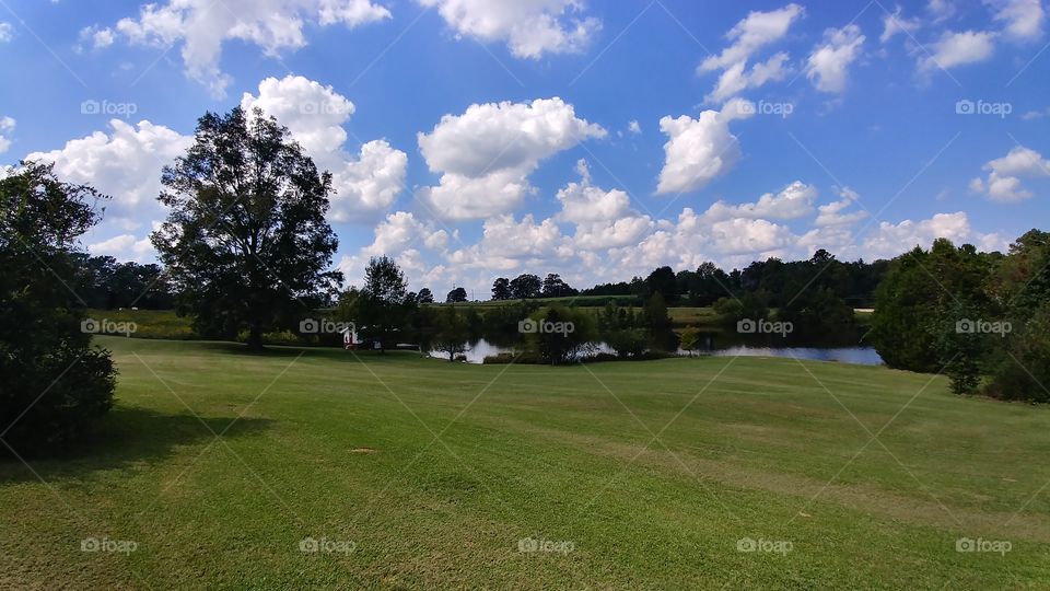 Landscape, Golf, Tree, Grass, No Person