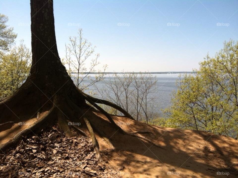 Turkey Point Lighthouse