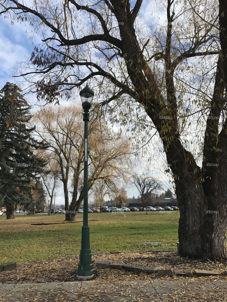 Lamppost by the park