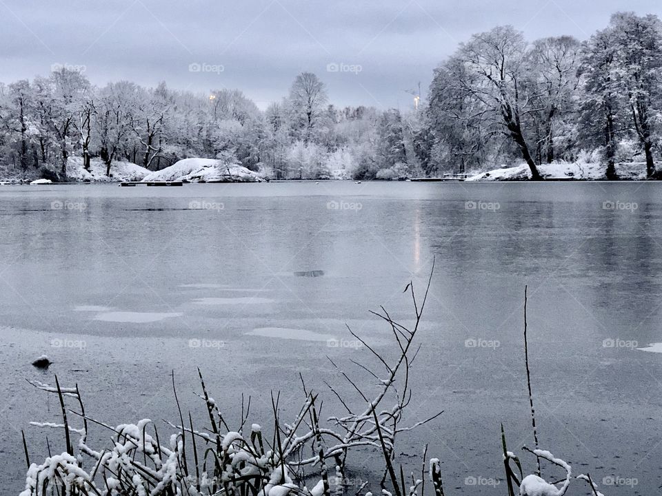 Over And Under The Snow.
