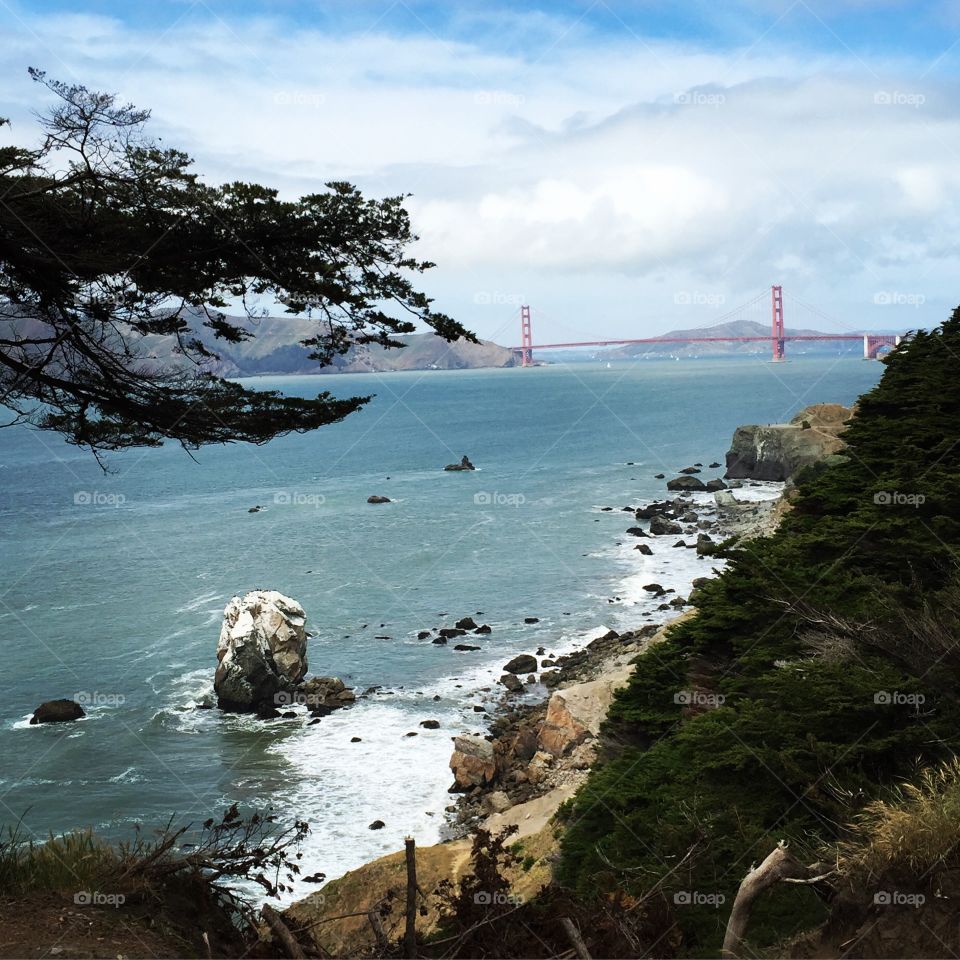 The Golden Gate Bridge!