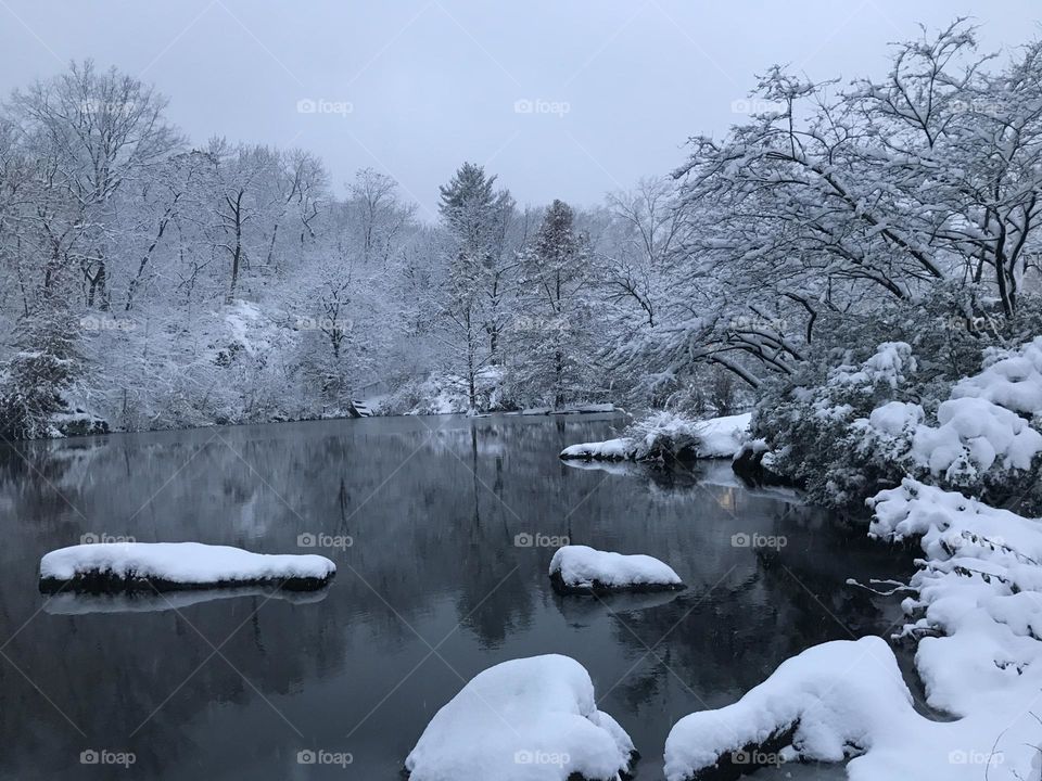 Snowy lake