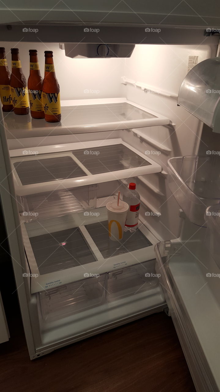 bachelor fridge