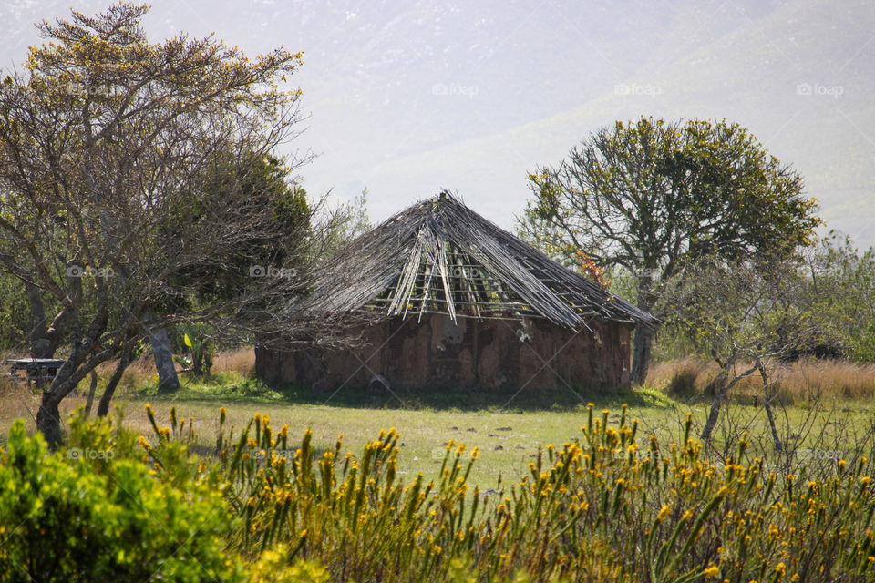 Old Zulu hut surrounded by bushveld and flowers against a mountain