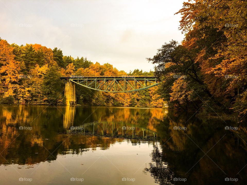 Water, No Person, Fall, River, Tree