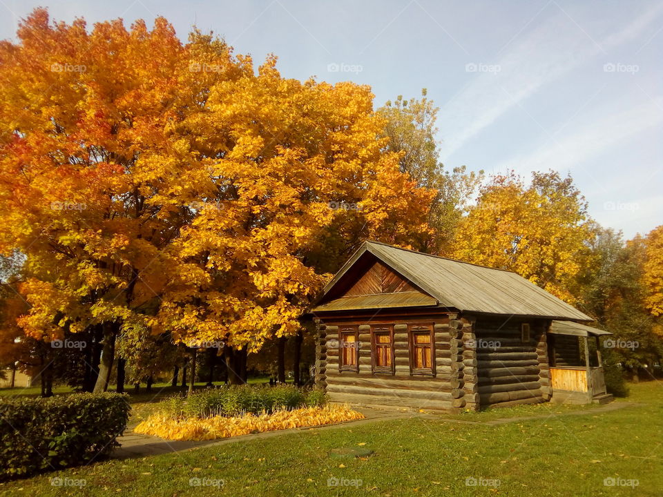 золотая осень во всей красе