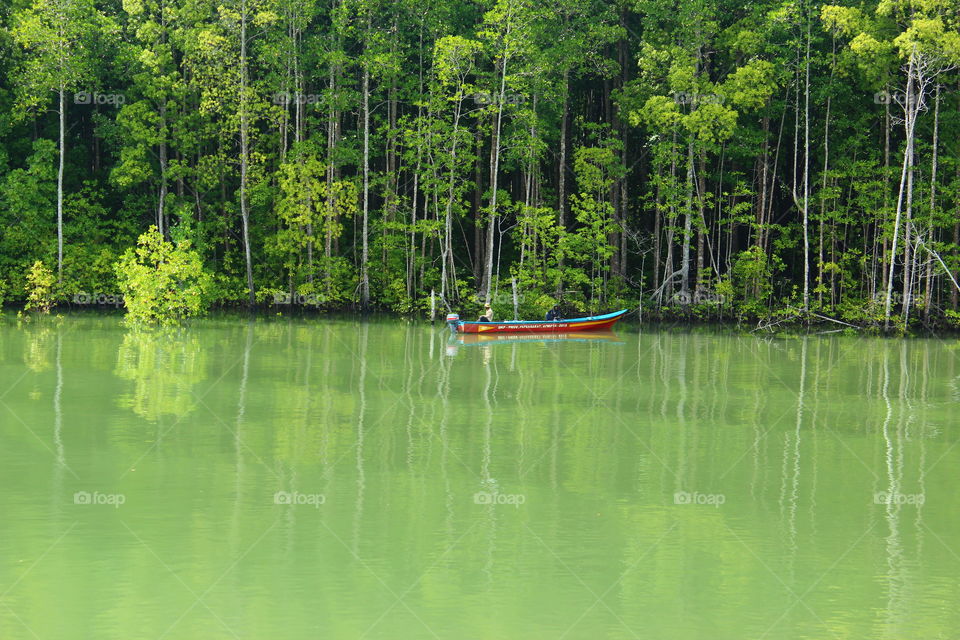 fisher n mangrove