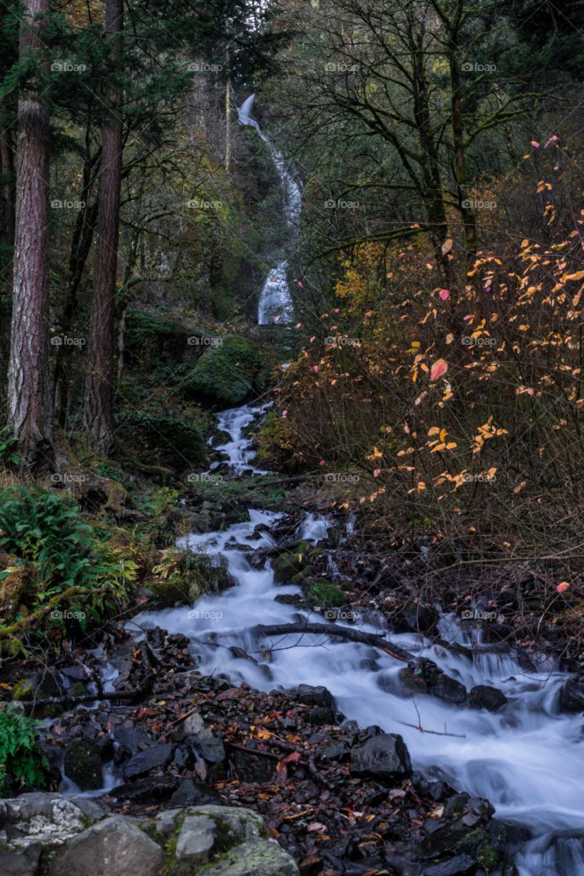 Wahkeena Falls, Oregon depicts the true tranquility of the forest.