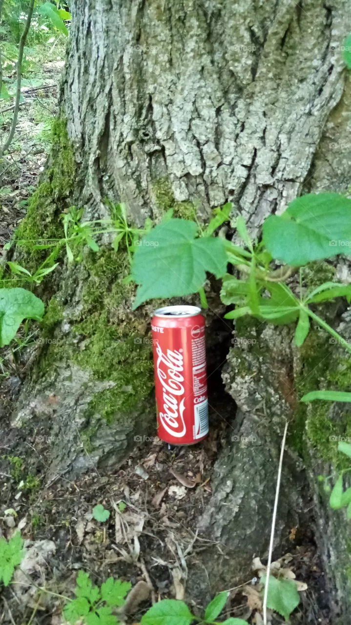 Cola