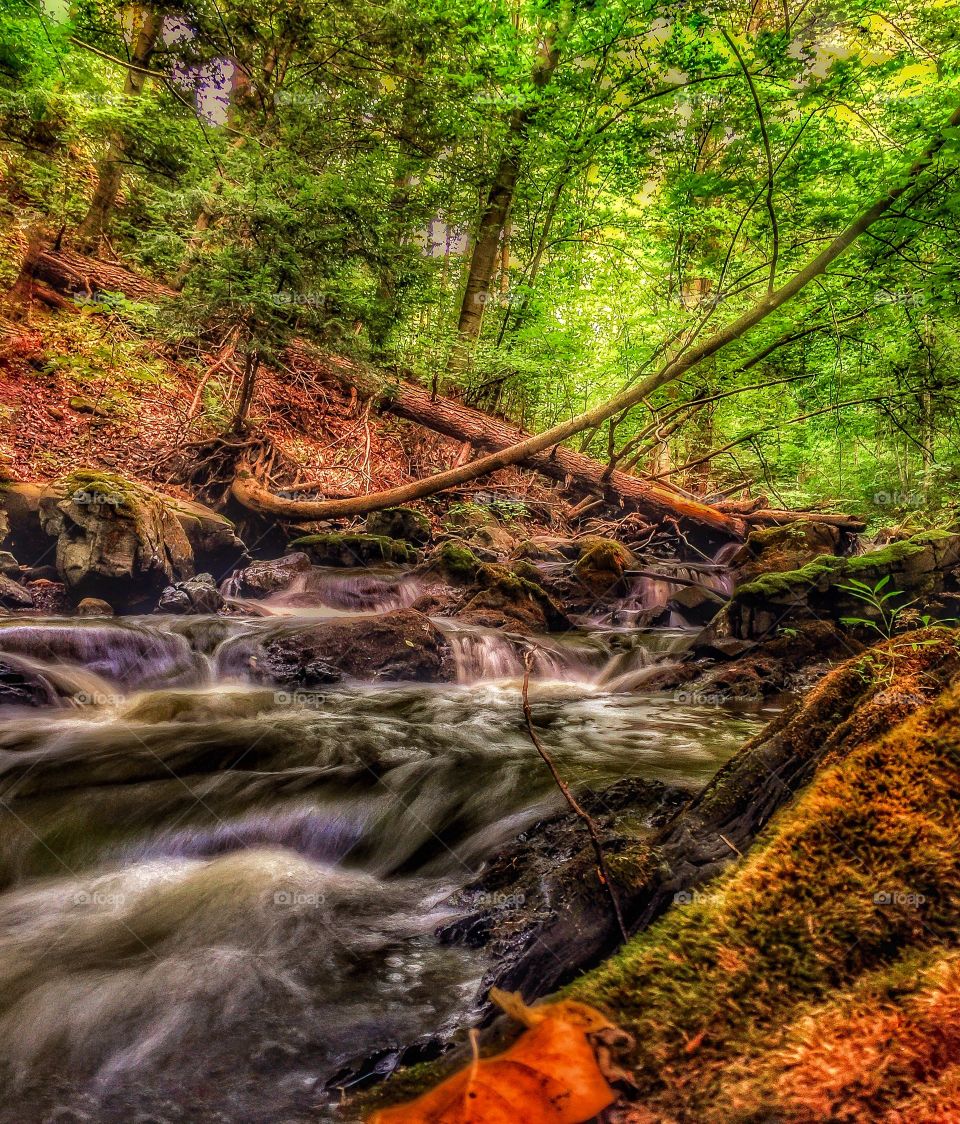 Calm stream. A slow exposure shot of a lazy stream