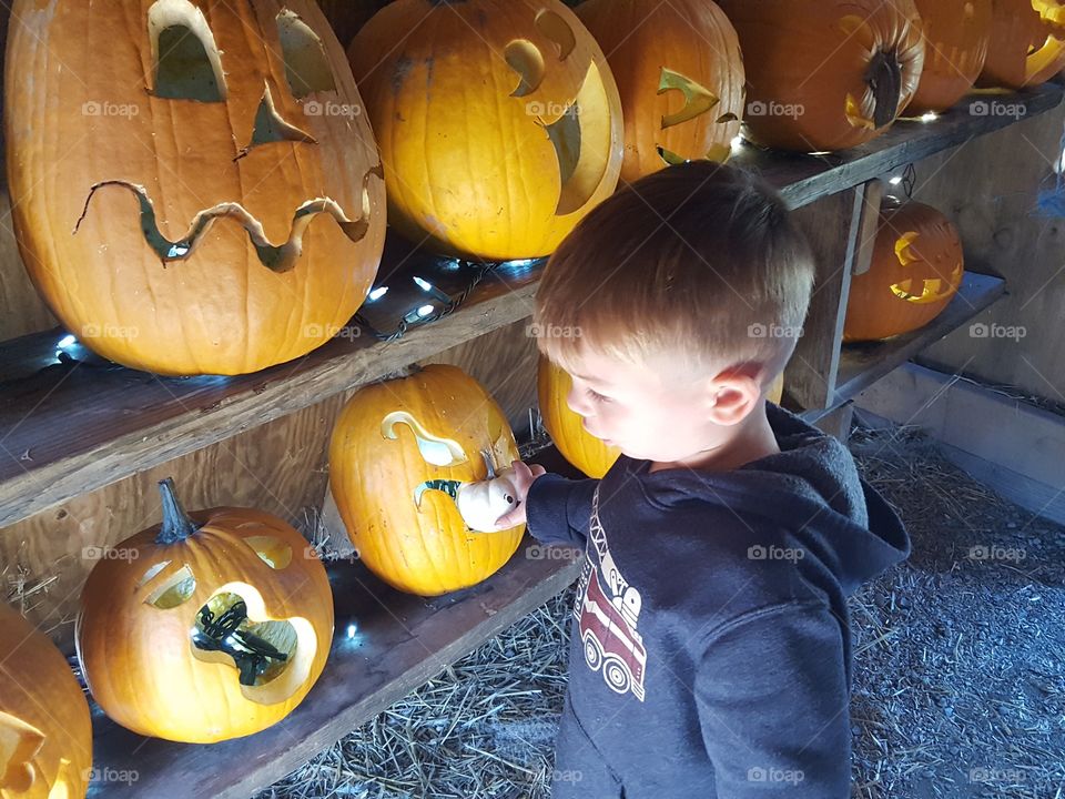So many pumpkins so much fun!