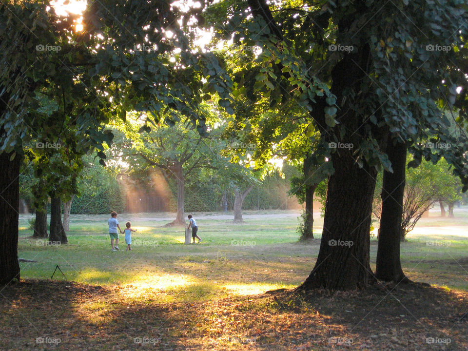 Children in the park