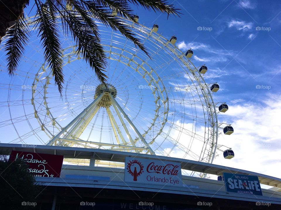 Orlando Eye