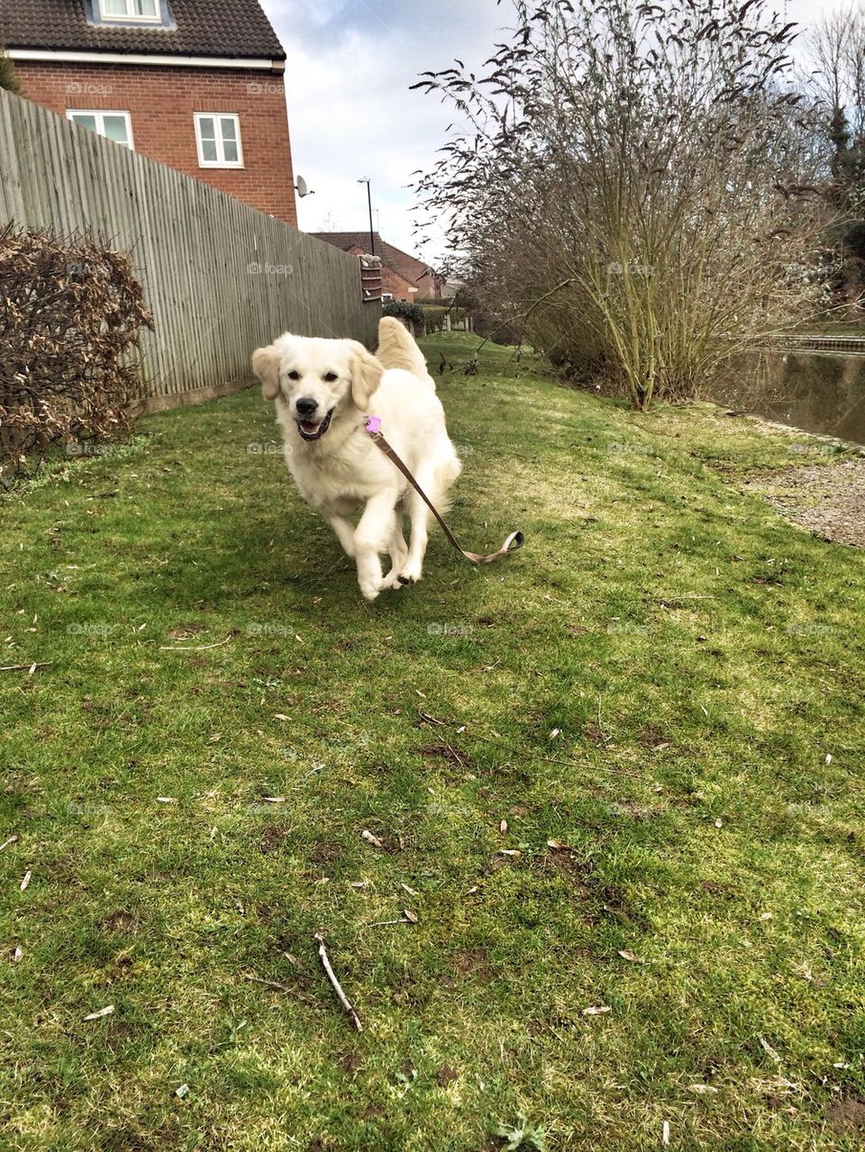 Zoe having fun at the canal