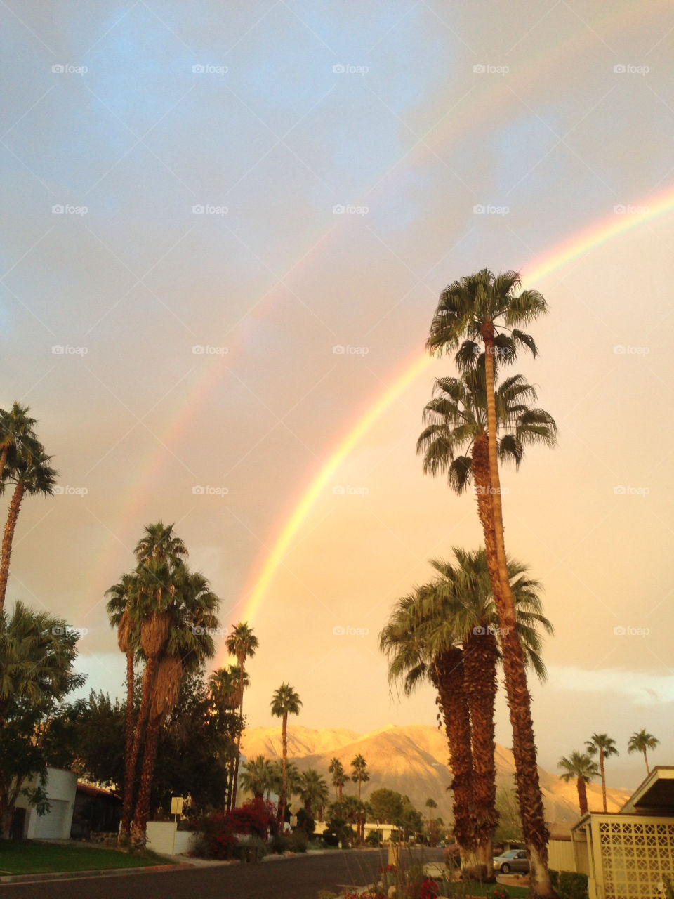 light double rainbow rainbows palm palms trees rain sky clouds palm desert by davidi92260