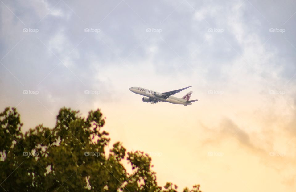 airplane flying high