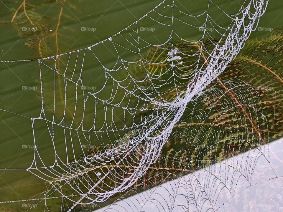 Misty spider web with water droplets above the water with a reflection of the web