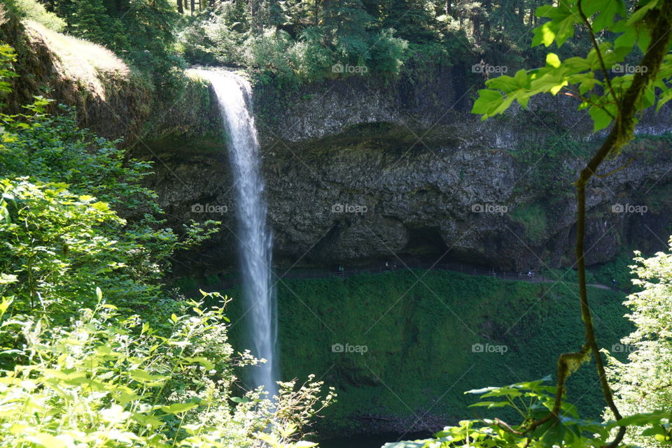Waterfall. Silver creek falls