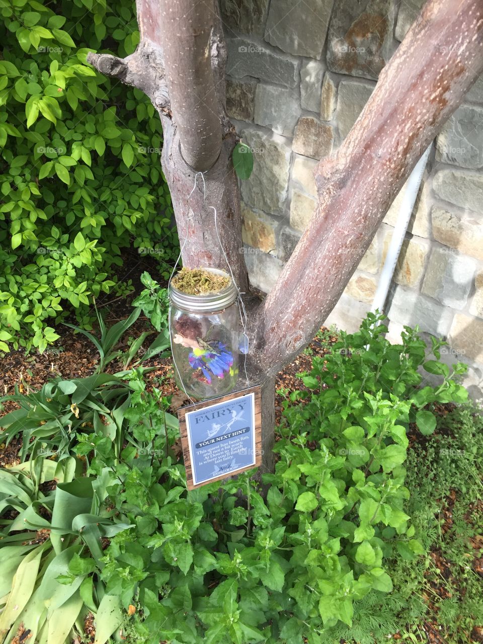 Fairy Quest. Fairy Homes & Gardens. Gardner Village, in West Jordan, Utah. @chelseamerkleyphotos - Copyright © CM Photography. May 2019.