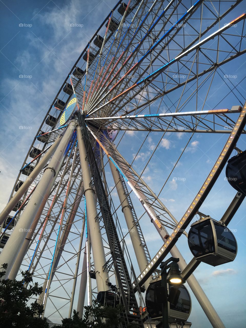 Pigeon Forge Eye