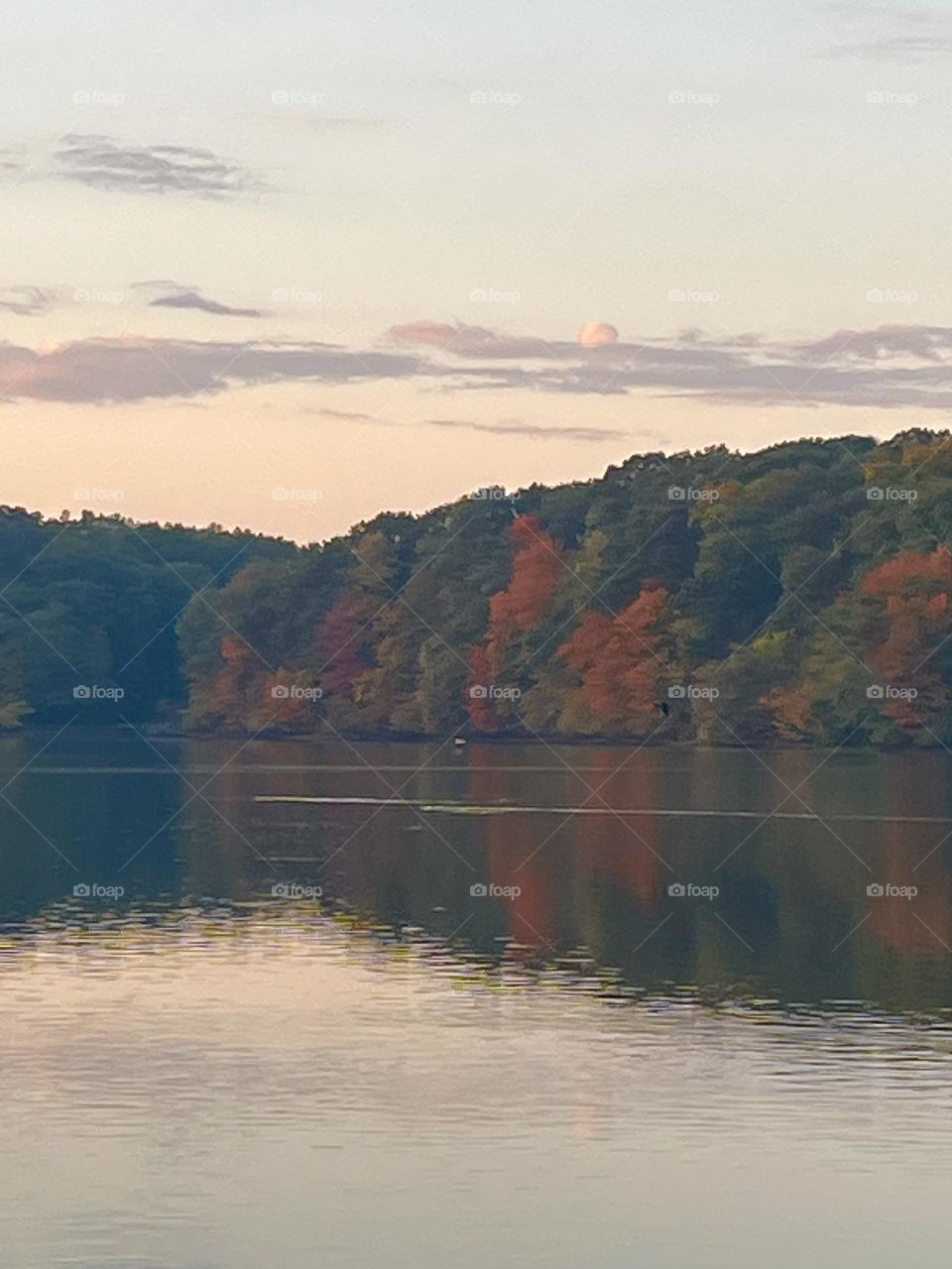 Autumn Morning 