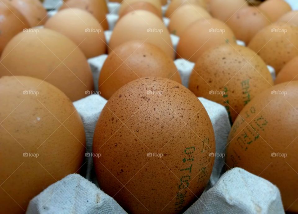 close up of fresh eggs