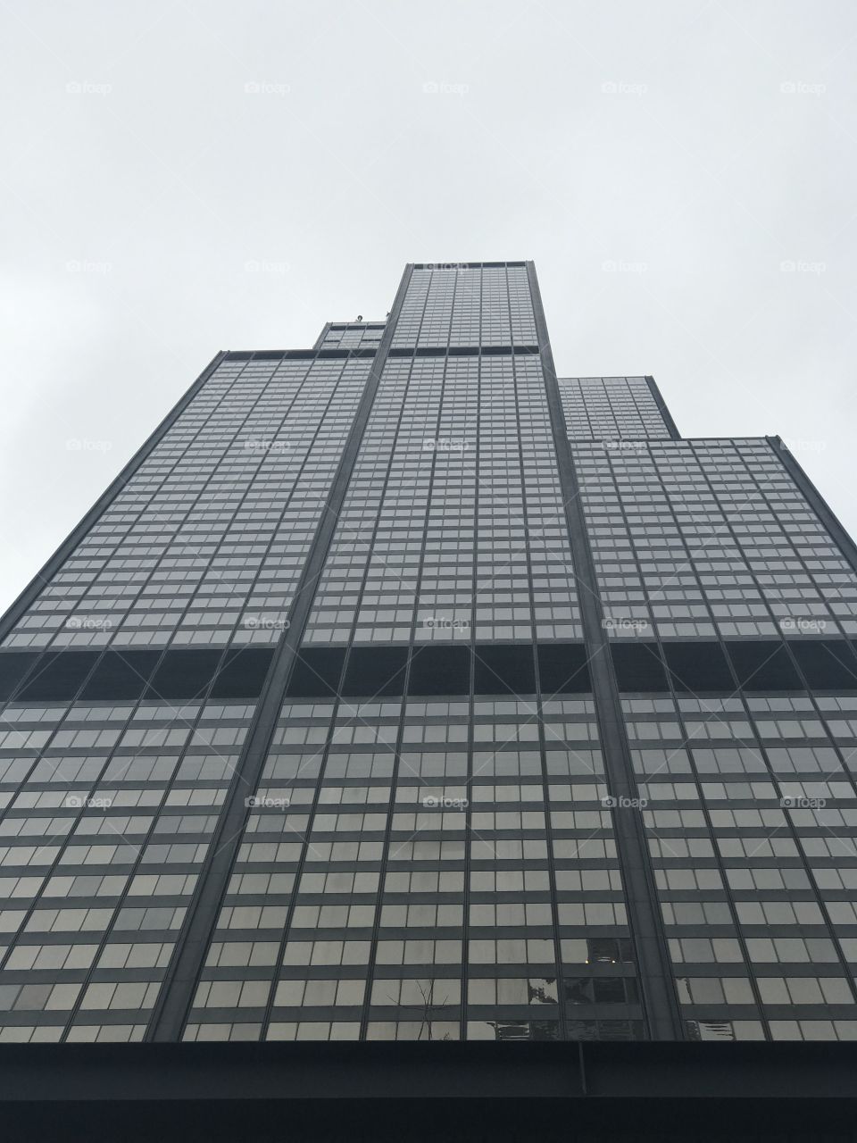 The Willis Tower