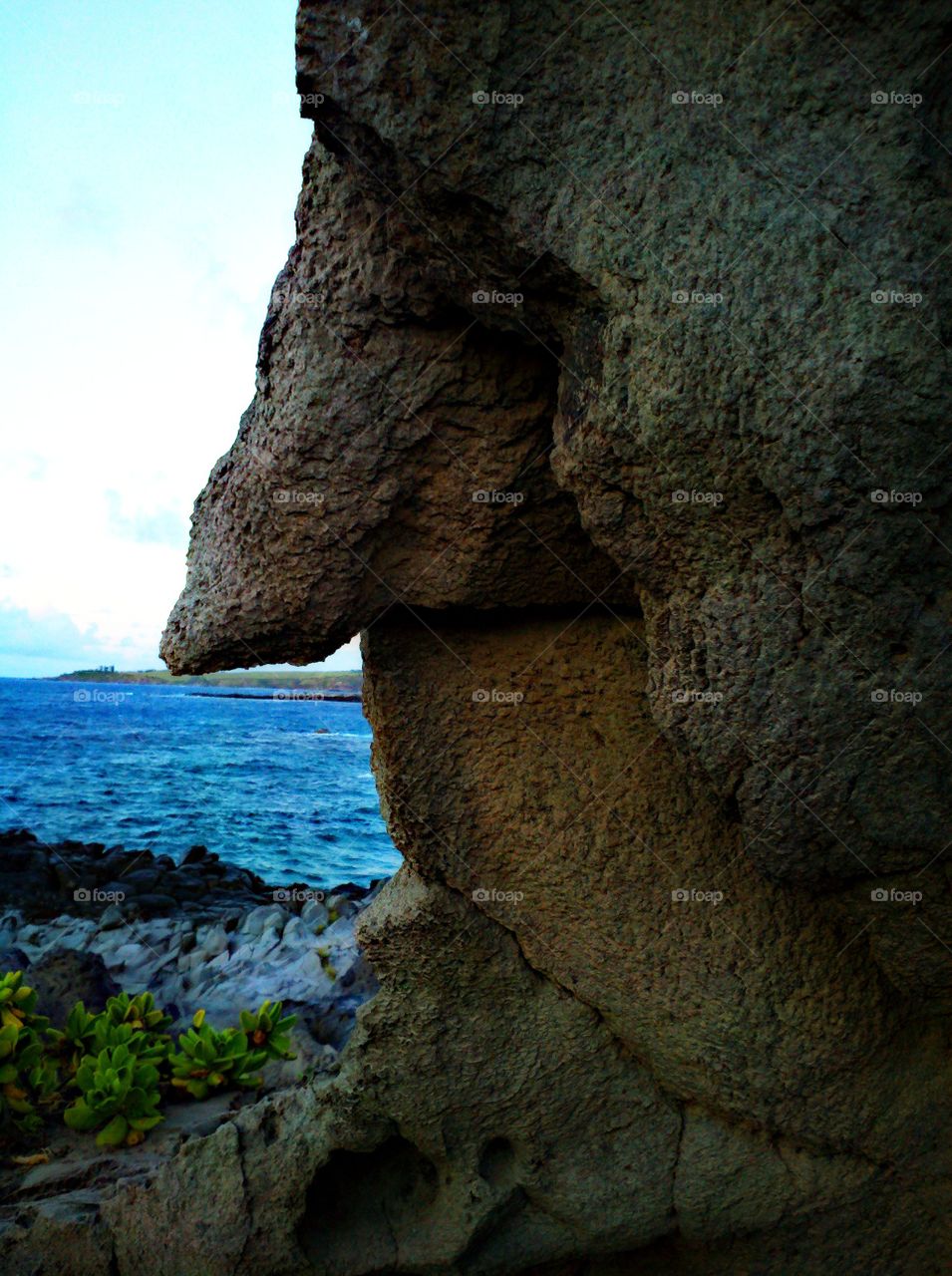 Old giant. Rock face