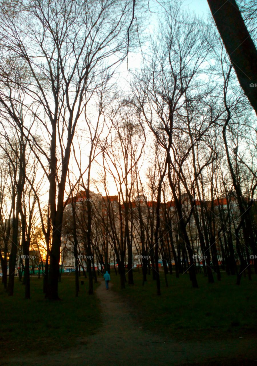 walk in the evening park