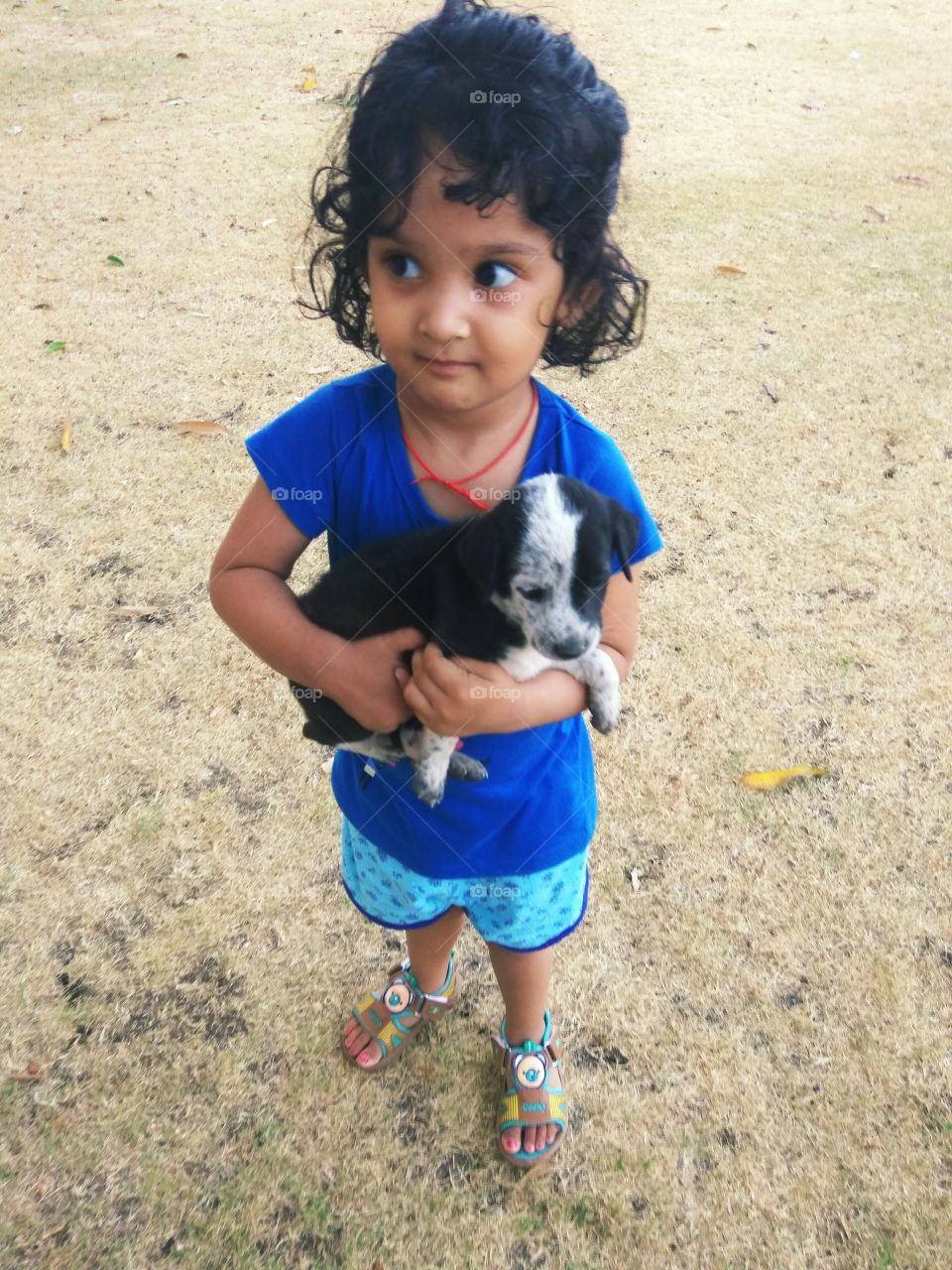 Cute kids with cute dogs