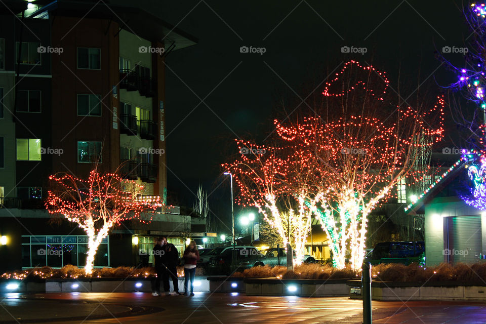 Festival, Light, Christmas, Evening, City