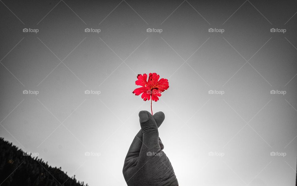 Little heart with colorful leaf