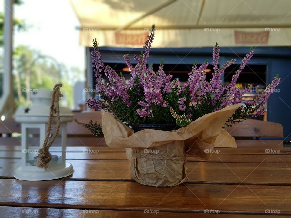 flower on the table