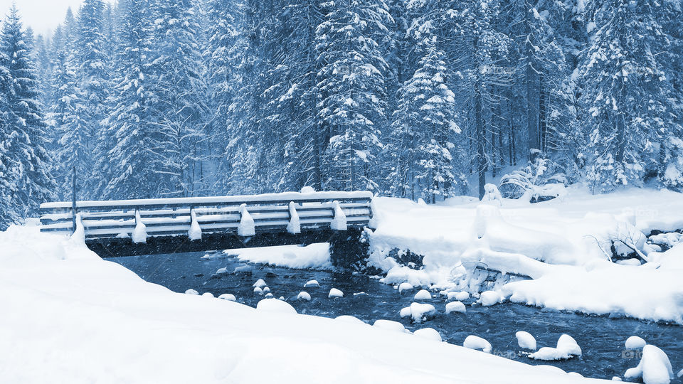 Snow, Winter, Cold, Ice, Frost