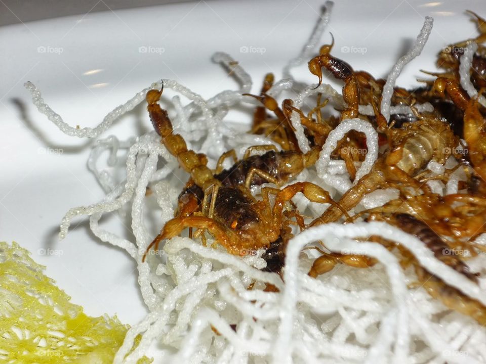 fried scorpions 