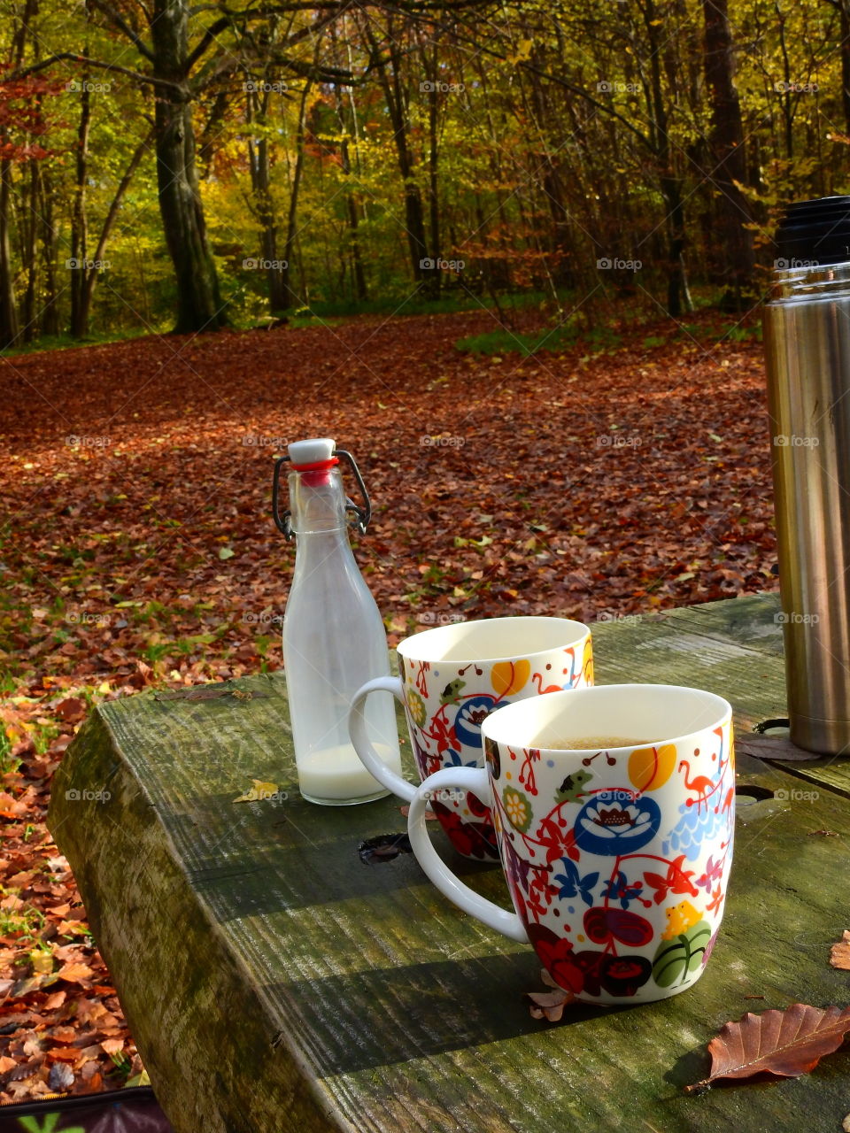 Autumn colors & coffe