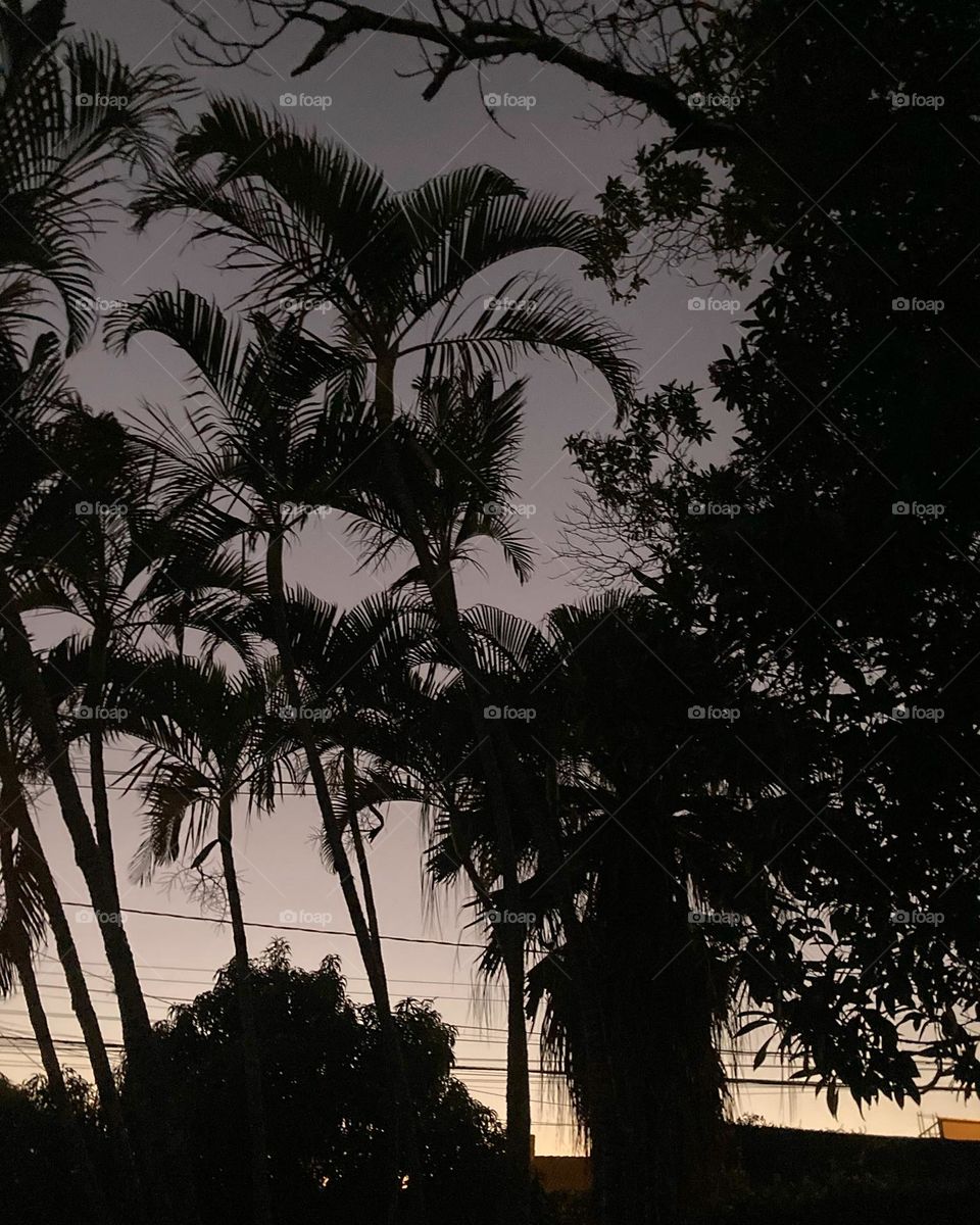 🌄🇺🇸 An extremely beautiful dawn in Jundiaí, interior of Brazil. Cheer the nature! / 🇧🇷 Um amanhecer extremamente bonito em Jundiaí, interior do Brasil. Viva a natureza! 