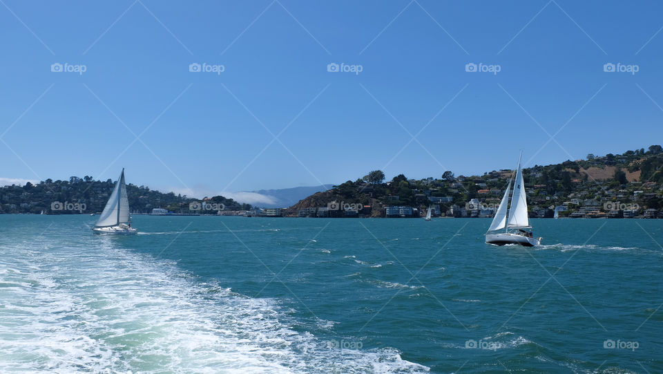 Sail boats in the river