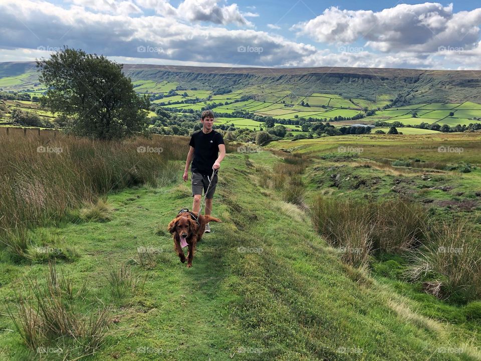 Uphill countryside walk … Quinn on a lead in case we never see him again !