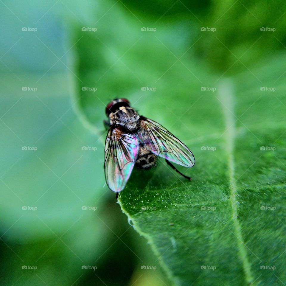 show us your best photos